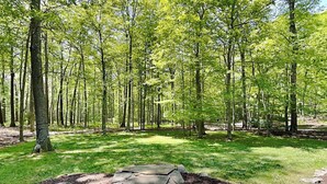 Un sentiero in pietra che si addentra in una zona boschiva, con alberi alti e una radura erbosa.