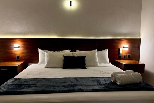 Deluxe Suite, 1 King Bed, Park View | Premium bedding, down comforters, pillowtop beds, desk