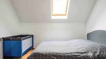 A small, single-bed room with a sloped ceiling and a skylight.