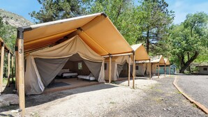 Diverse tende dal design semplice e funzionale, immerse in un'area boschiva naturale.