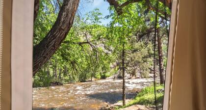 Glamp 15- Delicate Bluebell