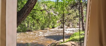 Glamp 11- Red Tailed Hawk