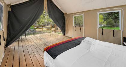 Glamp 3- Coyote Pack