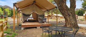 Glamp 5- American Plains Bison