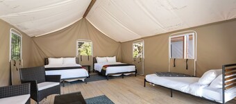 Glamp 16- Purple Coneflower