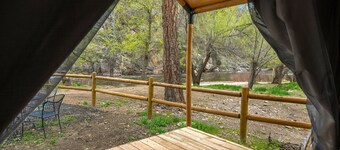 Glamp 1- Bighorn Sheep