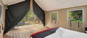 Glamp 4-   Mule Deer