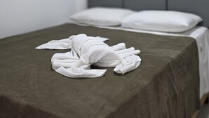 Una cama bien hecha con colcha gris y almohadas blancas, una planta enmarcada en la pared y una repisa de vidrio con adornos.