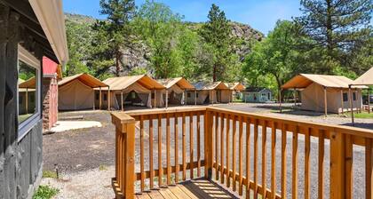 Cabin 6 - The Buckhorn
