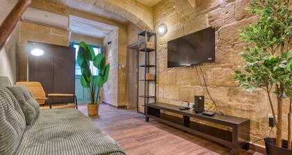 Charming, Modern duplex in city center JMBA1-1