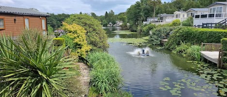 Boendeområde