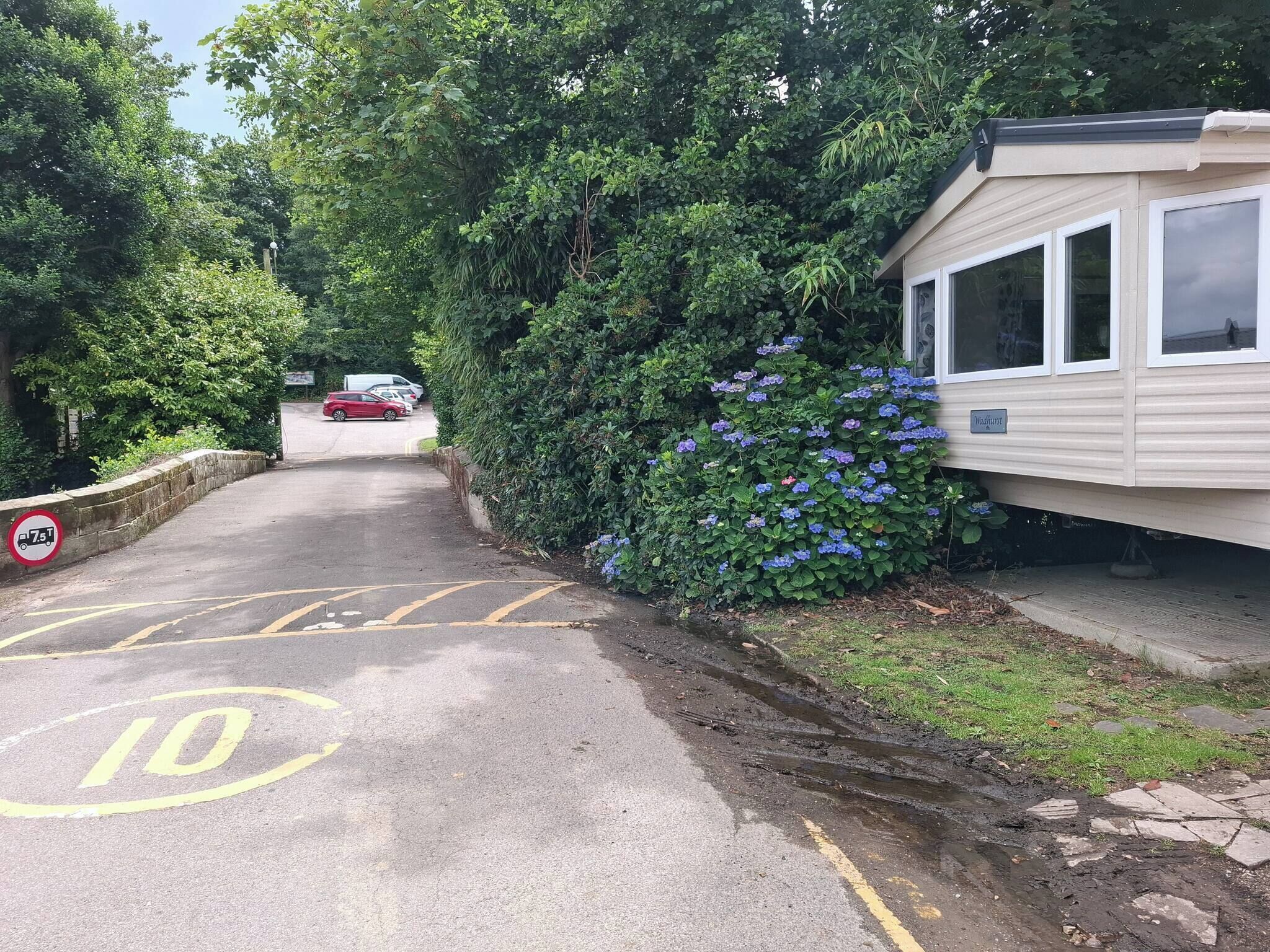 A caravan park with a paved road leading to a caravan, surrounded by lush greenery and trees.