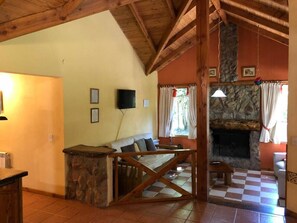 Televisión y chimenea 