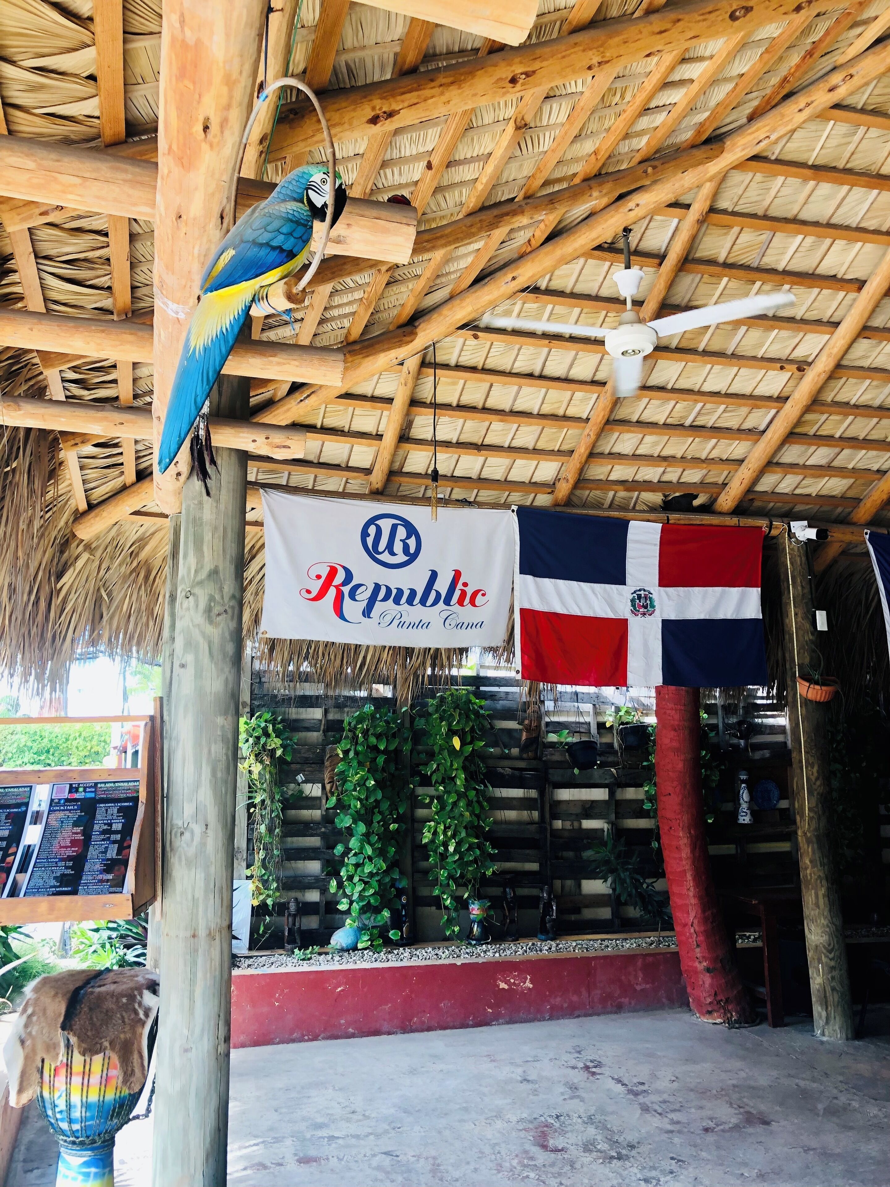 Photo - DUCASSI SUITE Sol Karibe SUITES STUDIOS TROPICANA Rooftop POOL WiFi Beach & SPA