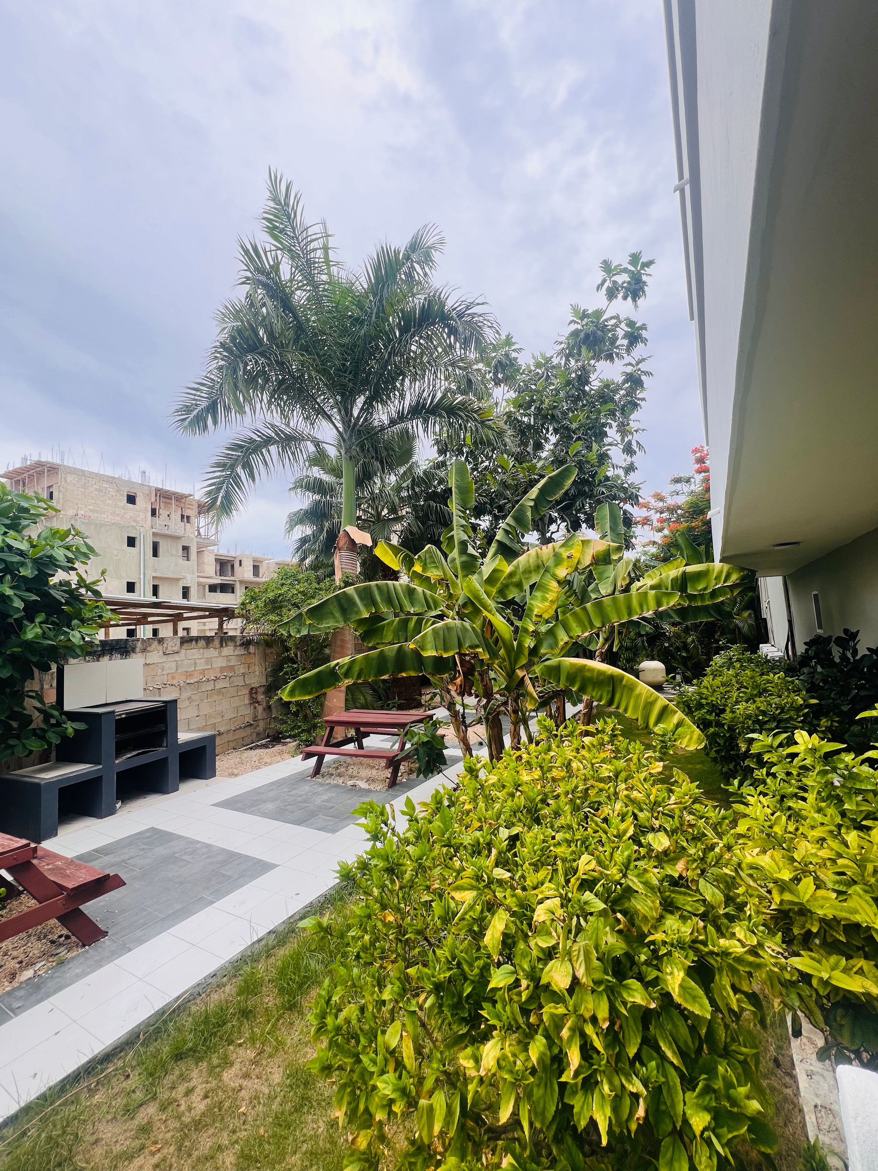 A courtyard with a paved walkway, a wooden bench, and various plants including a banana tree.