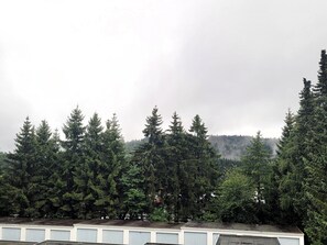 Apartment | View from property