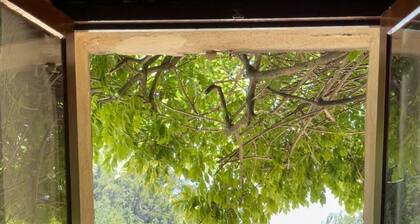 Secluded gem in Seillans with peace and amazing views