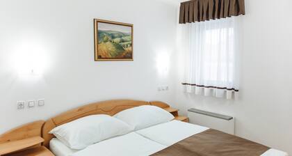Double Room with Balcony 109