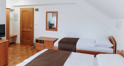 Triple Room with Balcony 105