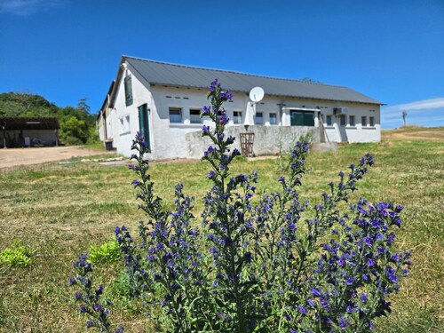 Appartement am Landhaus