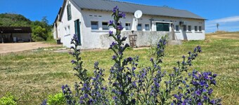 Apartment at the country house