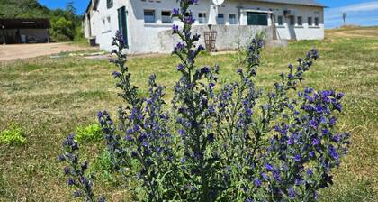 Appartement am Landhaus