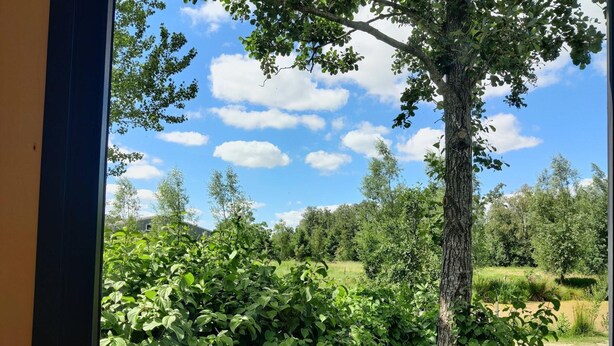 A view through a window of a lush green landscape with a tree and a clear blue sky. - Group Accommodation for 36 Guests (Scherpenzeel)