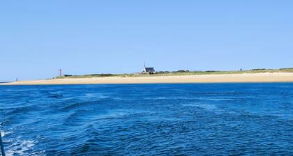 New house, spacious, bright, quiet neighborhood in agglo, fenced. Garage