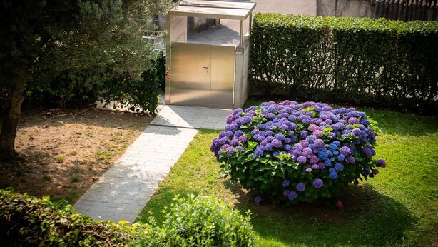 A garden with a metal structure, a pathway, and a bush of purple flowers.