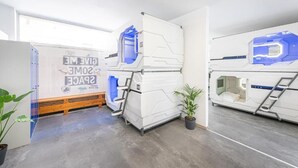 Una habitación con literas, una escalera y una planta en maceta.
