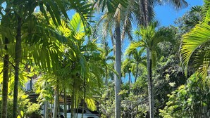 A cobblestone pathway in a lush garden with palm trees and a white vehicle parked nearby.