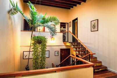 Casa Orquidea Panama, in the heart of the city