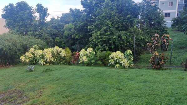 Àrea exterior de l'allotjament