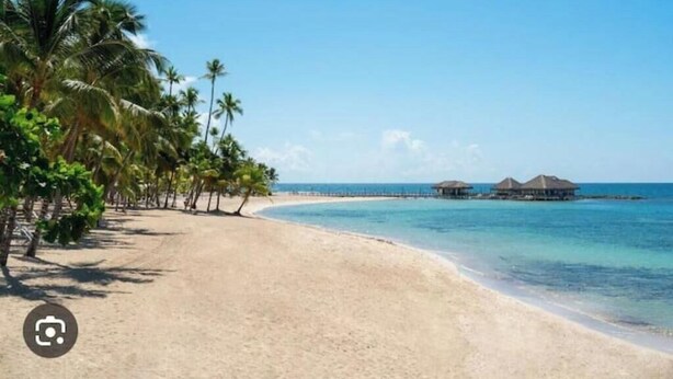 A beach with palm trees, clear blue water, and overwater bungalows. - Relaxing Ocean View Condo (Santo Domingo)
