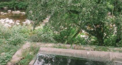 Auberge U San Petru - Bains de Guitera