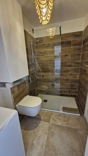 Shower, hair dryer, soap, toilet paper