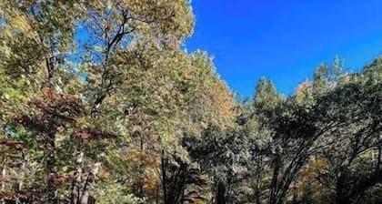 Beautiful, Secluded & Private on 50-Acre Estate