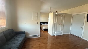 A room with a grey sofa, a bed with a white duvet, a white wardrobe, and a wooden floor. - Pet Friendly Apartment In Arena District with Parking (Detroit)