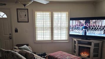 Smart TV, fireplace, books