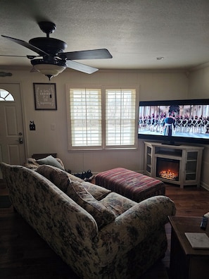 Smart TV, fireplace, books