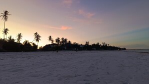 Una playa con huellas, palmeras y casas al fondo.