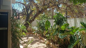 Un jardín con un sendero, distintas plantas y un árbol.