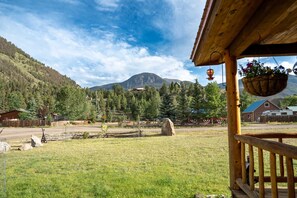 Property grounds - The PB Bears Den - Perfect Spot for Your Family Getaway (Lake City)