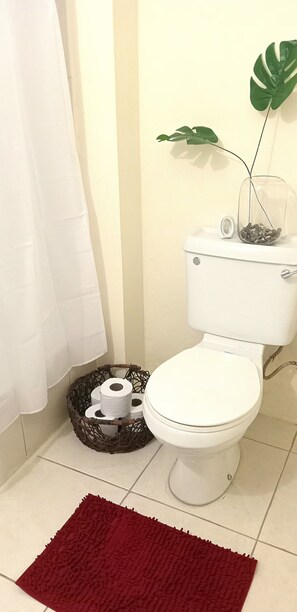 Haartrockner, Handtücher, Seife, Toilettenpapier
