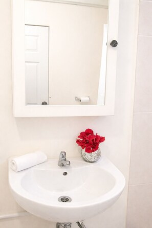 Sèche-cheveux, serviettes fournies, savon, papier toilette