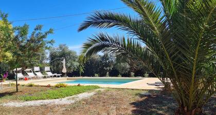 Stone farmhouse surrounded by greenery with shared pool