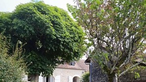 A stone building with a grassy yard and a large tree. - Gîtes de France® - Le Clo (SAINT MICHEL DE BANNIERES)