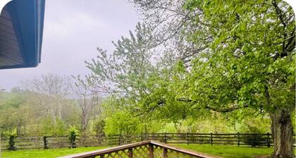 Stunning Farm House,
Horses on property,
Quiet and relaxing,