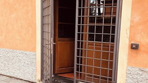 Una puerta con una reja de metal, un felpudo y una planta en maceta afuera.