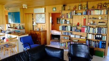 Smart-tv, eldstad, dvd-spelare och böcker